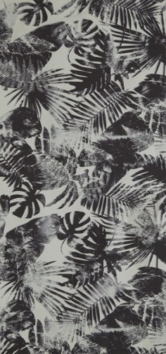 PALM BLACK